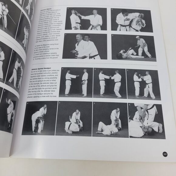 Hapkido: Tradition Philosophy Technique Marc Tedeschi New Old Stck FIRST EDITION - Picture 13 of 14